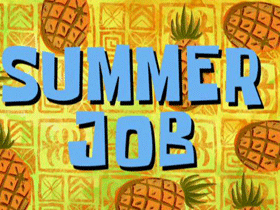 Summer Job-ის პროექტში სახელმწიფო უწყებები ერთვებიან